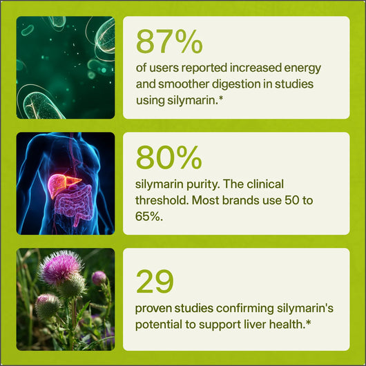 Premium Milk Thistle Liver Support